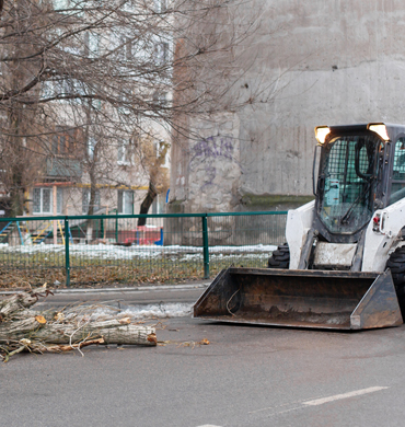 çim makinaları scripti, hazır çim websitesi,